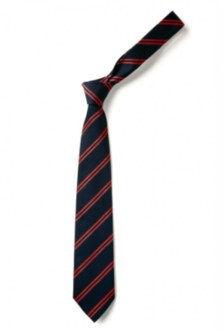 Infant Clip on Tie 
