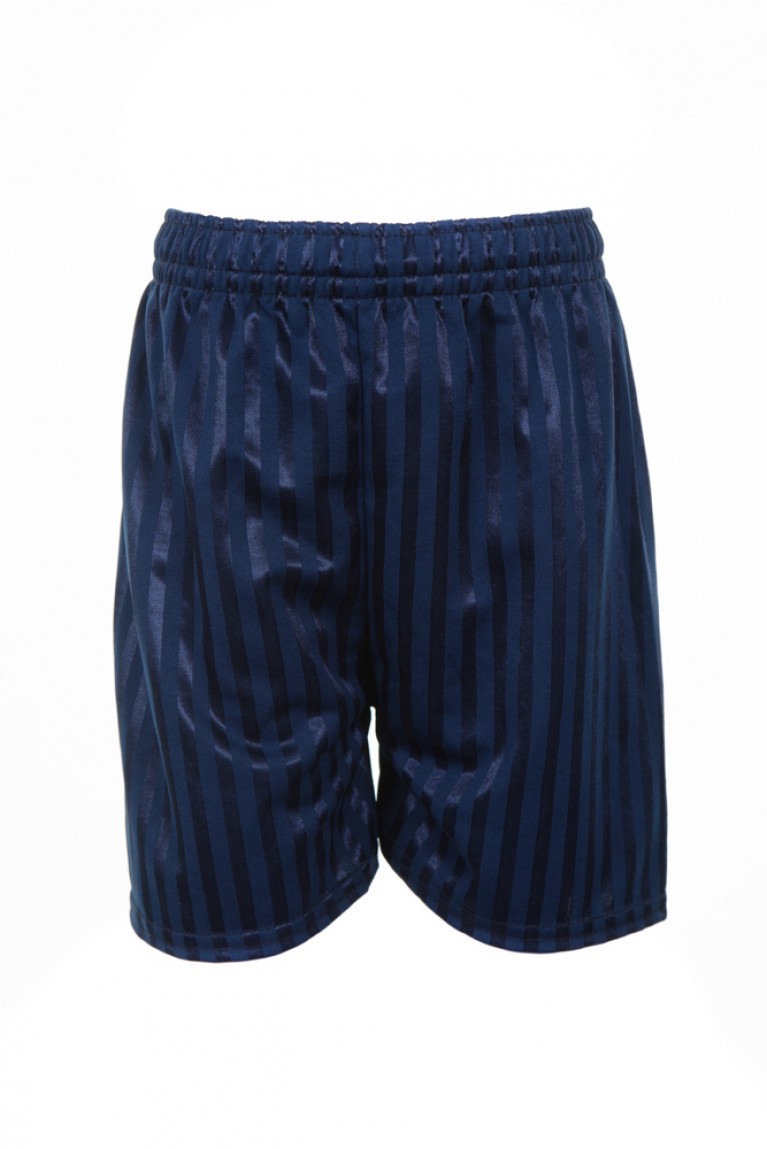 Navy Shadow Striped Shorts