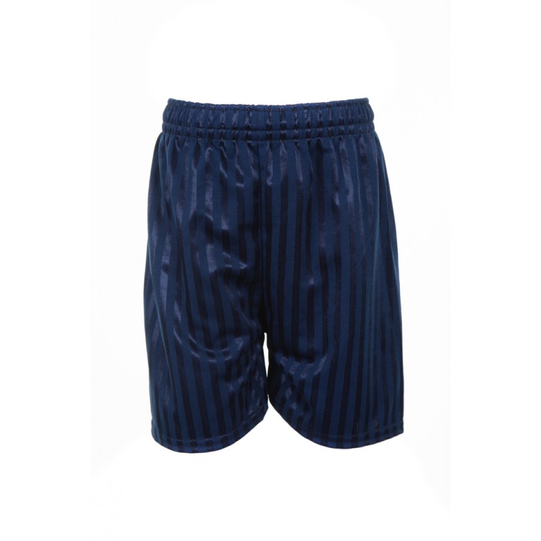 Navy Shadow Striped Shorts
