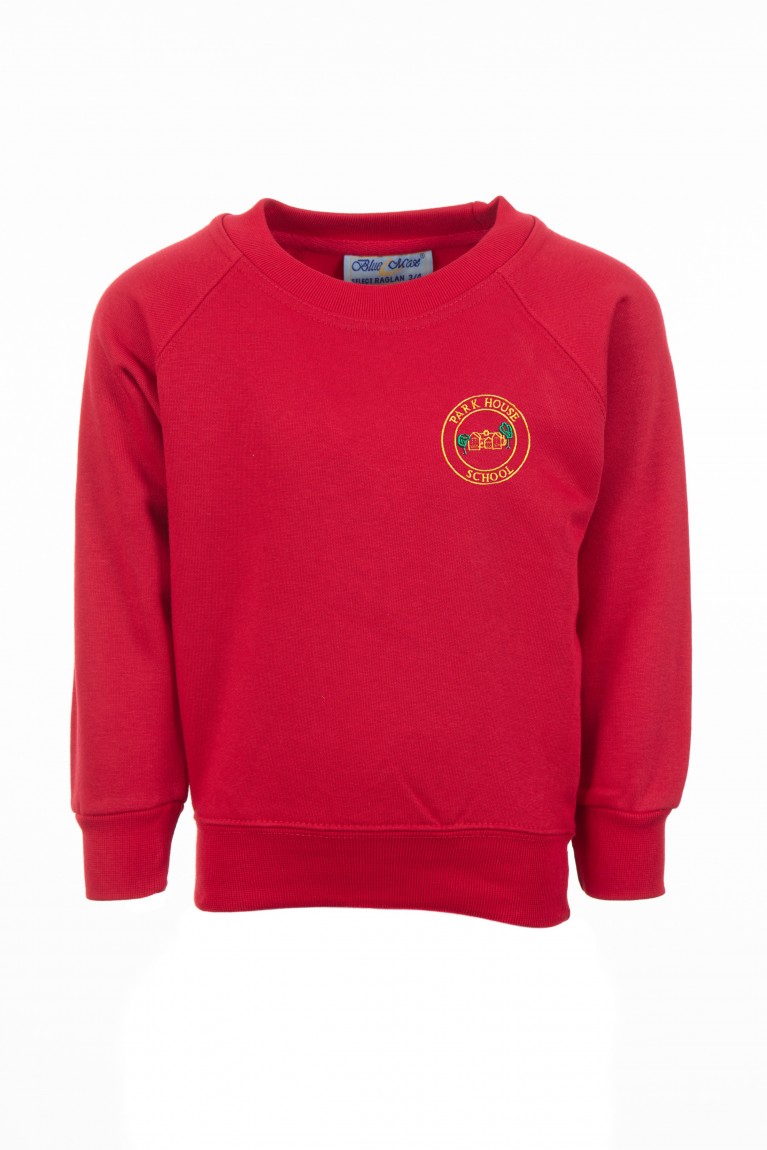 Year 6 Red Classic Crew Neck Sweatshirt 